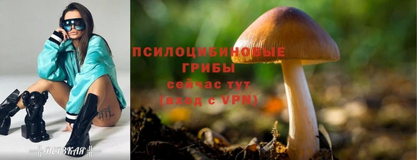 хмурый Алексин