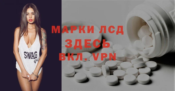 хмурый Алексин