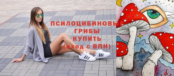 хмурый Алексин