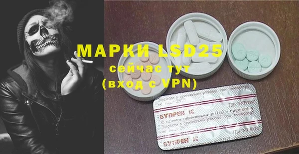 хмурый Алексин