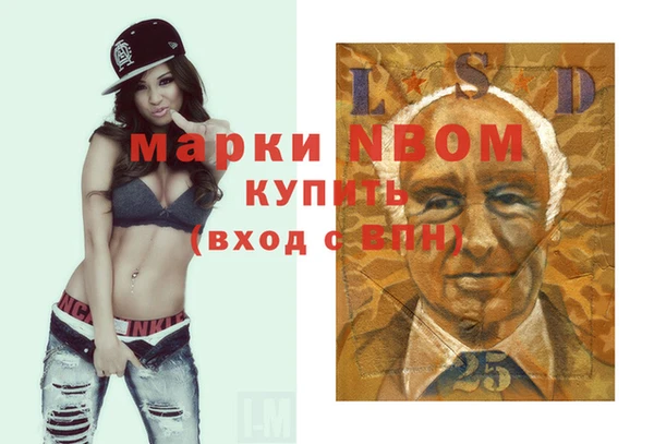 хмурый Алексин