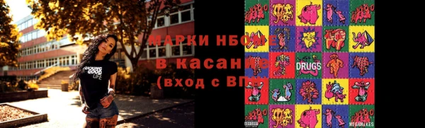 хмурый Алексин