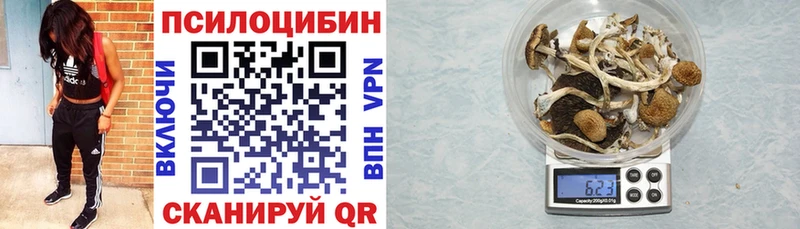 где купить наркоту  Моздок  Галлюциногенные грибы прущие грибы 